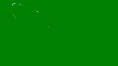 Hareketli yeşil ekran efekti, hareket ve enerji ileten akışkan çizgiler. Sahne akışında pürüzsüz değişiklikler sunan yaratıcı video geçişleri için ideal.