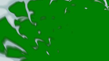 Soyut akış çizgilerine sahip pürüzsüz yeşil ekran geçişi, videolarda organik hareket ve kusursuz sahne değişiklikleri yaratmak için idealdir.
