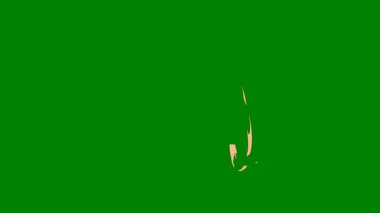 Parlayan, canlı bir ışık çizgisi efekti yeşil bir ekran üzerinde geçiş yapıyor, enerjik geçişler için ideal ve cesur video kompozisyonları yaratmak için.