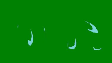 Yeşil ekran üzerinde sarmal akışkan hareket efekti, pürüzsüz geçişler ve canlı video kompozisyonları için ideal, yaratıcı projelere görsel yetenek eklemek.