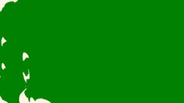 Yeşil ekran üzerinde parlak, pürüzsüz bir ışık yayı, video bileşimlerini geliştiren ve dinamik efektler sağlayan akışkan hareketler için mükemmel..