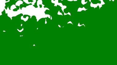 Yeşil ekranda parlayan akışkan bir dalga, dinamik geçişler ve video bileşimlerinde akışkan hareketler için idealdir, projelere heyecan ve yüksek görsel etki ekler.