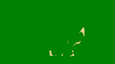 Yeşil ekran boyunca parlak bir ışık patlaması, video düzenlemelerindeki yüksek enerjili geçişler için mükemmel, dinamik bir görsel element ekler.