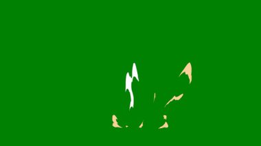 Yüksek hızlı video kompozisyonları ve aksiyon dolu projelerde dramatik geçişler yaratmak için ideal, yeşil ekranda parlayan alev benzeri bir hareket.