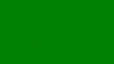 Yüksek enerjili video geçişleri ve aksiyon dolu video düzenlemelerine görsel heyecan eklemek için ideal, yeşil ekranda ışıl ışıl bir ışık patlaması.
