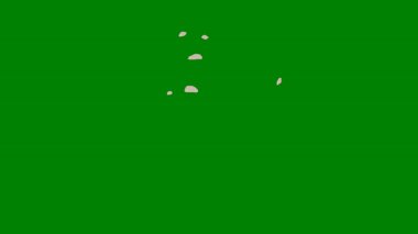 Yeşil ekran boyunca geçiş yapan yüksek enerjili bir ışık patlaması, video kompozisyonlarına heyecan ve dramatik geçişler eklemek için mükemmel..