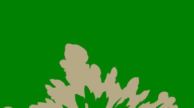 Yeşil ekran üzerinde parlayan bir ışık serisi, dinamik hareket ve video bileşimlerine yüksek hız geçişleri eklemek için idealdir.