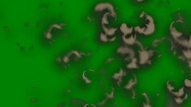 Yeşil ekran boyunca ışıl ışıl bir geçiş efekti, video projelerinde hızlı geçiş için idealdir ve kompozisyonlara dinamik hareket eklenir.