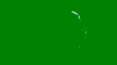 Yeşil ekranda dinamik bir parlaklık serisi, video kompozisyonlarına heyecan verici hareketler ve hızlı geçiş için mükemmel..