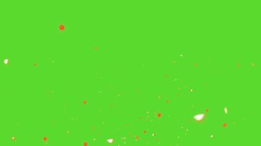 Küçük, dağınık, parlayan parçacıklar yeşil ekran arka planında parıldıyor. Büyülü ya da rüya gibi görsel efektler için mükemmel..