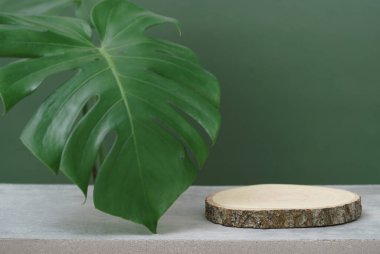 empty wooden podium texture on cement tabletop with monstera leaf dark green space background.organic healthy natural product pedestal platform promotion show display, summer banner concept design.