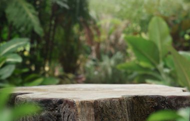 empty table top wooden counter podium in outdoor tropical garden forest blurred green plant background with space.organic product present natural placement pedestal display,spring and summer concept.