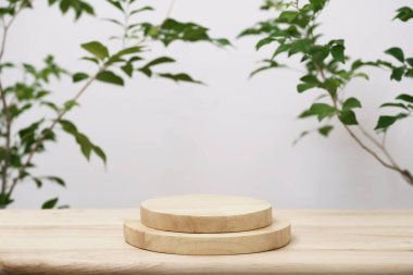 wood podium on table top tree branch green leaf white space background.promotion beauty cosmetic and healthy natural product placement pedestal platform showcase display,spring or summer advertising.