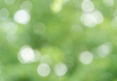 defocused sunlight at morning in garden blur green leaves bokeh background with copy space.concept idea for backdrop,ecology,environment design.