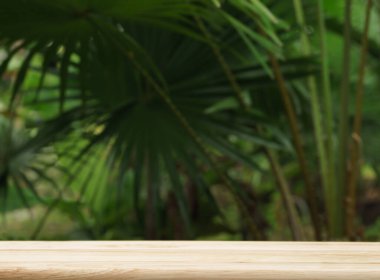 boş masa çam ağacından podyum dokusu tropikal bahçe yeşil bitki arkaplanı fotokopi alanı ile bulanık. Organik sağlıklı doğal ürün tanıtım gösterisi, doğa orman tasarımı.