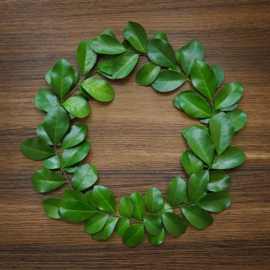 taze tropikal çember yeşil yapraklar desen süsleme çerçeve dekorasyonu ahşap zemin üzerinde boş alan .ekoloji kavramı, davetiye kartı düğün minimal tasarımı.