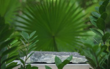 Tropikal açık hava yeşil bitki içinde boş kaya taş podyum dokusu yumuşak güneş ışığı arkaplan. Organik sağlıklı doğal ürün tanıtım gösterisi, doğa orman tasarımı..