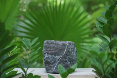 Tropikal açık hava yeşil bitki içinde boş kaya taş podyum dokusu yumuşak güneş ışığı arkaplan. Organik sağlıklı doğal ürün tanıtım gösterisi, doğa orman tasarımı..