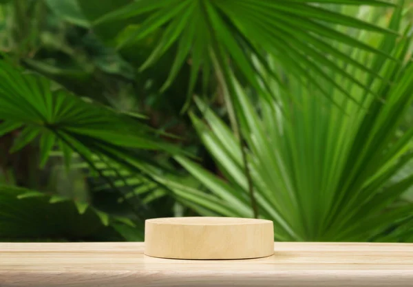 boş masa çam ağacından podyum dokusu tropikal bahçe yeşil bitki arkaplanı fotokopi alanı ile bulanık. Organik sağlıklı doğal ürün tanıtım gösterisi, doğa orman tasarımı.