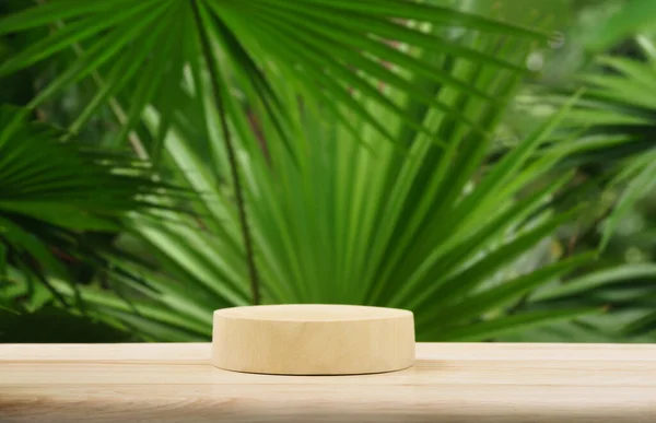 boş masa çam ağacından podyum dokusu tropikal bahçe yeşil bitki arkaplanı fotokopi alanı ile bulanık. Organik sağlıklı doğal ürün tanıtım gösterisi, doğa orman tasarımı.