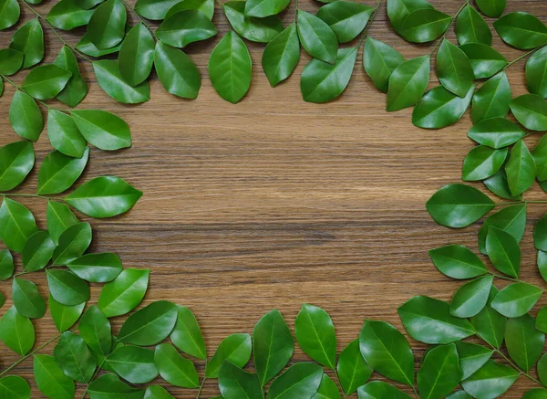 taze tropikal çember yeşil yapraklar desen süsleme çerçeve dekorasyonu ahşap zemin üzerinde boş alan ile ekoloji konsepti, doğal organik bitkisel sağlıklı ürün arkaplan minimum tasarım.