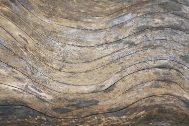 Eski, makro ahşap desenli yüzey kirli zemin zemini. Doğal malzemeden inşa edilmiş ahşap zemin zemin konsepti, eski veya eski duvar tasarımları. Soyut ahşap zemin arka plan.