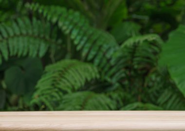 Tropikal bahçedeki çam ağacından yapılmış boş bir masa. Taze yeşil bitki fotokopi alanıyla bulanıklaştırılmış..