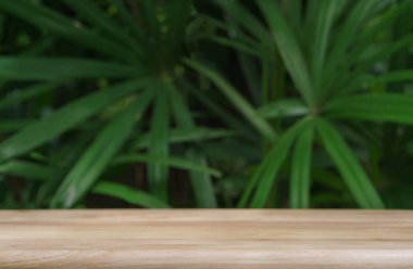 Tropikal bahçedeki çam ağacından yapılmış boş bir masa. Taze yeşil bitki fotokopi alanıyla bulanıklaştırılmış..