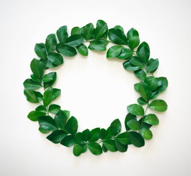 Çember taze tropikal yeşil yapraklar desenli çelenk çerçeve süslemesi beyaz arka planda izole edilmiş. Ekoloji kavramı veya davetiye kartı romantik düğün minimal tasarımı.