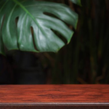 boş kahverengi desenli ahşap masa üstü tropikal bitki canavarı yaprak desenli bulanık arka plan. Orman bahçesi duvar kağıdı dekorasyonu için fikir, ürün podyumu sergisi yaz arkaplanı tasarımı.