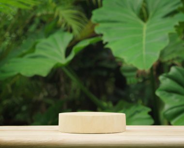 Tropikal bahçedeki çam ağacından yapılmış boş bir masa. Taze yeşil bitki fotokopi alanıyla bulanıklaştırılmış..