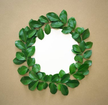 Beyaz daire taze tropikal yeşil yapraklar desen süsleme süsleme yeşilliği bej arka planda yuvarlak boş alan ile izole edilmiş. Ekoloji kavramı veya davetiye kartı minimum tasarım.