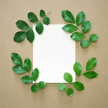 Merkezde beyaz düz kağıt dikdörtgen şekil ve bej arka planda boş alan ile izole taze yeşil yapraklar. Ekoloji kavramı veya davetiye tebrik kartı romantik düğün minimal tasarımı.