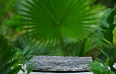 Tropikal açık hava yeşil bitki içinde boş kaya taş podyum dokusu yumuşak güneş ışığı arkaplan. Organik sağlıklı doğal ürün tanıtım gösterisi, doğa orman tasarımı..