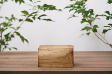 empty wooden podium texture on tabletop with tree branch fresh green leaf white space background.organic healthy natural product pedestal platform promotion show display,spring banner concept design.