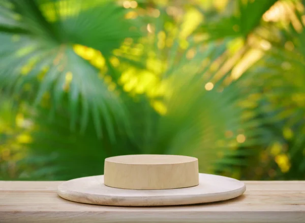 boş masa çam ağacından podyum dokusu tropikal doğa ormanı yeşil bitki altın güneş ışığı ormanı arkaplanı boşluk. Organik sağlıklı doğal ürün tanıtım ekranı.