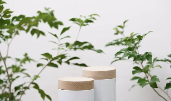 Beyaz arkaplanda ağaç dalı olan boş iki ahşap podyum dokusu taze yeşil yaprak. Organik sağlıklı doğal ürün kaidesi tanıtımı ekranı, bahar pankartı tasarımı.