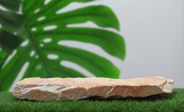 Stone podium table top on green grass monstera tropical plant white space background.Promotion beauty cosmetic and healthy natural product placement pedestal platform display,spring or summer concept.