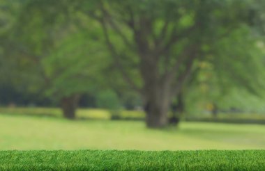 Yeşil çimen masası, podyumun üst katı tropikal orman arka planında bulanık park. Sağlıklı organik ürün yerleştirme kaidesi sergisi, bahar ya da yaz ormanı cenneti..