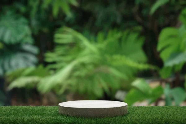 Yeşil çimlerin üstündeki beton podyum masası bulanık canavar tropikal orman bitkisi arka planı. Organik sağlıklı doğal ürün yerleştirme kaidesi, ilkbahar veya yaz orman konsepti..