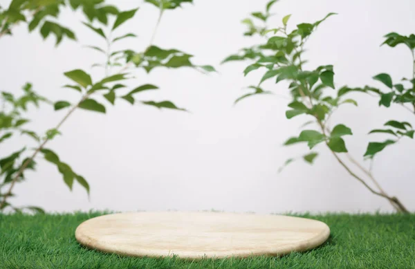 wood podium on grass with tree branch green leaf white space background.promotion beauty cosmetic and healthy natural product placement pedestal platform showcase display,spring or summer advertising.