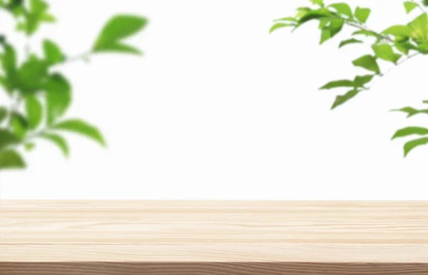 Beyaz arka planda ağaç dalı yeşil yapraklı ahşap podyum masası zemininde. Güzellik kozmetik ve sağlıklı doğal ürün yerleştirme platformu sergi standı, ilkbahar veya yaz konsepti.