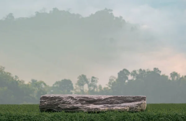 Çimenli taş podyum masası açık orman dağ manzarası arka planı. Doğal organik güzellik kozmetik veya sağlıklı ürün yerleştirme kaidesi sergisi, bahar yaz konsepti..
