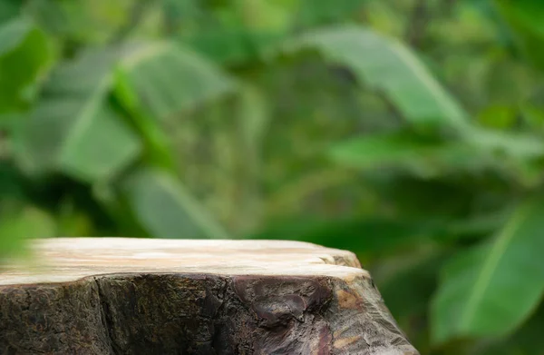 Açık havada ahşap masa üstü podyum zemini bulanık yeşil muz yaprağı tropikal orman manzarası arka plan. Kozmetik doğal ürün yerleştirme tezgahı görüntüsü, orman yaz konsepti.