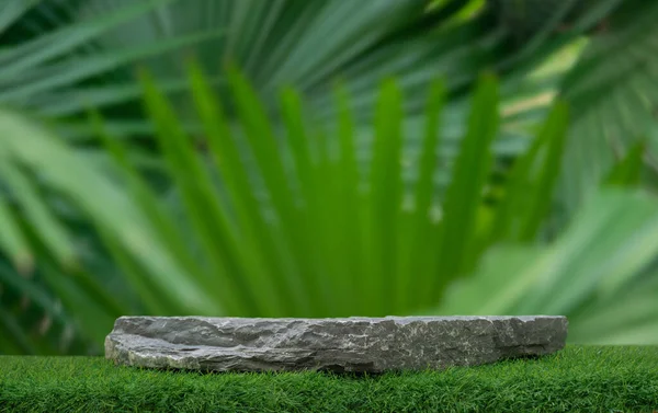 Çimlerin üzerindeki taş podyum masası zemini bulanık yeşil yaprak tropikal orman bitkisi arka planı. Güzellik kozmetik doğal ürün yerleştirme kaidesi sergisi, orman yaz konsepti.