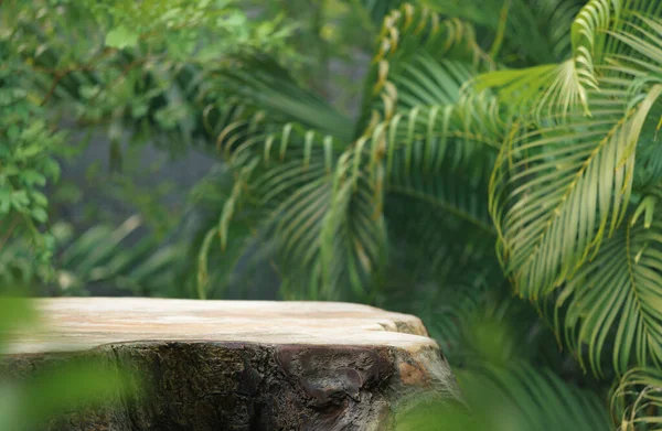 Wood tabletop counter podium floor in outdoors tropical garden forest blurred green palm leaf plant nature background.Natural product placement pedestal stand display,summer jungle paradise concept.