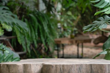 Açık havada ahşap masa üstü podyum zemini bulanık yeşil yaprak tropikal orman manzarası arka plan. Kozmetik doğal ürün yerleştirme tezgahı, orman yaz konsepti..
