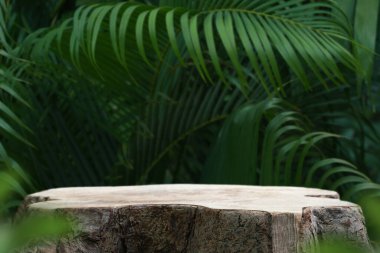 Açık hava tropikal bahçe ormanlarındaki ahşap masa tezgahı zemininde bulanık yeşil palmiye yaprağı bitki örtüsü arka planı. Doğal ürün yerleştirme tezgahı sergisi, yaz ormanı cennet konsepti..