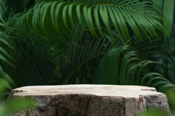 Açık hava tropikal bahçe ormanlarındaki ahşap masa tezgahı zemininde bulanık yeşil palmiye yaprağı bitki örtüsü arka planı. Doğal ürün yerleştirme tezgahı sergisi, yaz ormanı cennet konsepti..