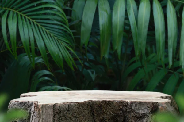 Wood tabletop counter podium floor in outdoors tropical garden forest blurred green palm leaf plant nature background.Natural product placement pedestal stand display,summer jungle paradise concept.
